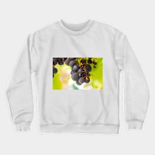 Asian wasps Crewneck Sweatshirt